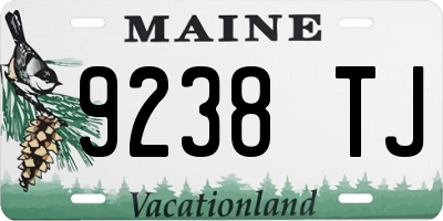 ME license plate 9238TJ