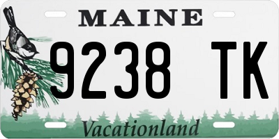 ME license plate 9238TK