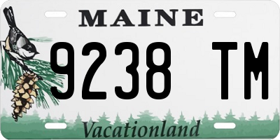 ME license plate 9238TM