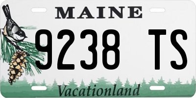 ME license plate 9238TS