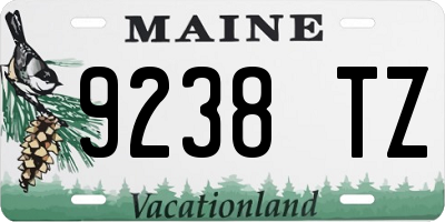 ME license plate 9238TZ