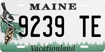 ME license plate 9239TE