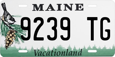 ME license plate 9239TG