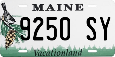 ME license plate 9250SY