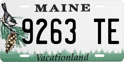 ME license plate 9263TE