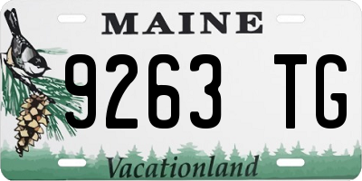 ME license plate 9263TG