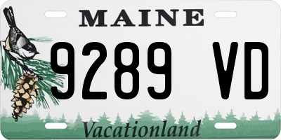 ME license plate 9289VD