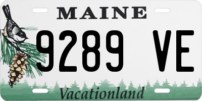 ME license plate 9289VE