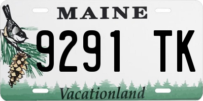 ME license plate 9291TK