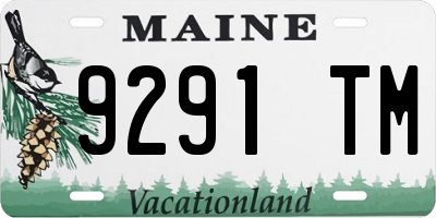 ME license plate 9291TM