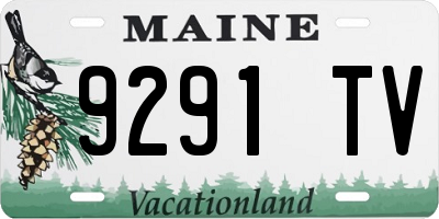 ME license plate 9291TV