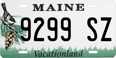 ME license plate 9299SZ
