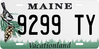 ME license plate 9299TY