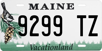ME license plate 9299TZ