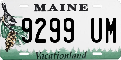 ME license plate 9299UM