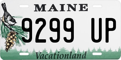 ME license plate 9299UP