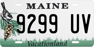 ME license plate 9299UV