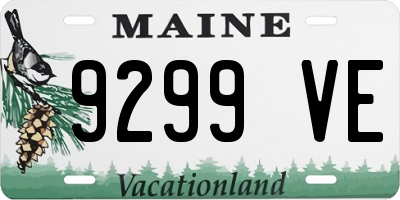 ME license plate 9299VE