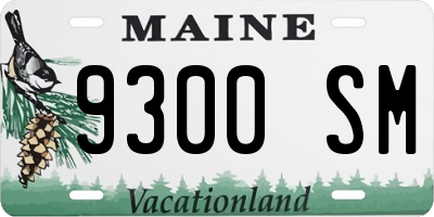ME license plate 9300SM