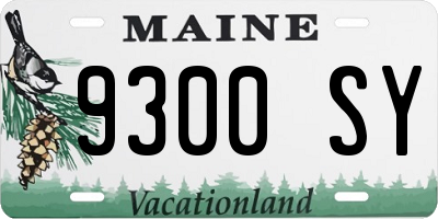 ME license plate 9300SY