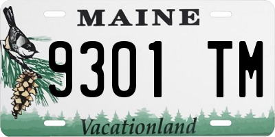 ME license plate 9301TM