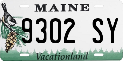 ME license plate 9302SY