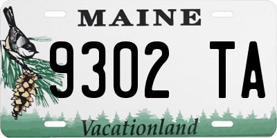 ME license plate 9302TA