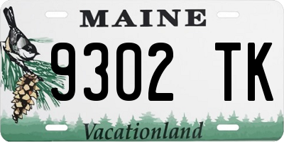 ME license plate 9302TK