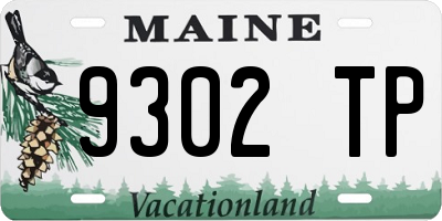 ME license plate 9302TP