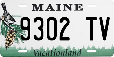 ME license plate 9302TV