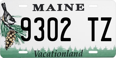 ME license plate 9302TZ