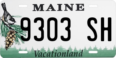 ME license plate 9303SH