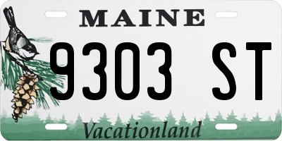 ME license plate 9303ST