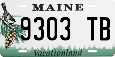 ME license plate 9303TB