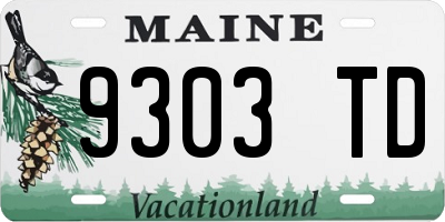 ME license plate 9303TD