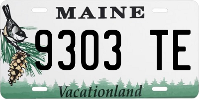 ME license plate 9303TE