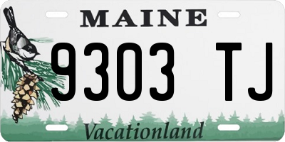 ME license plate 9303TJ
