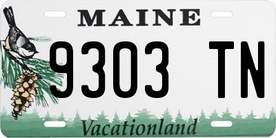 ME license plate 9303TN
