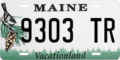 ME license plate 9303TR