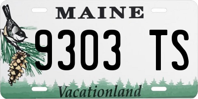 ME license plate 9303TS