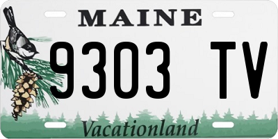 ME license plate 9303TV
