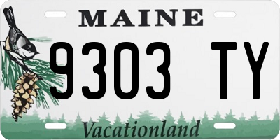 ME license plate 9303TY