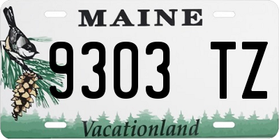 ME license plate 9303TZ