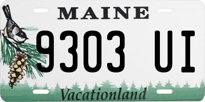 ME license plate 9303UI