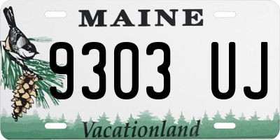 ME license plate 9303UJ