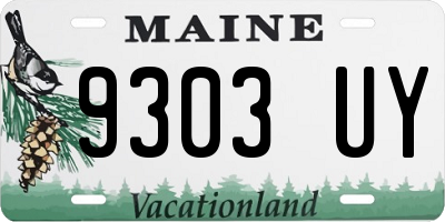 ME license plate 9303UY