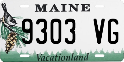 ME license plate 9303VG