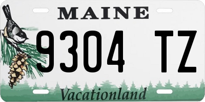 ME license plate 9304TZ