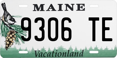 ME license plate 9306TE