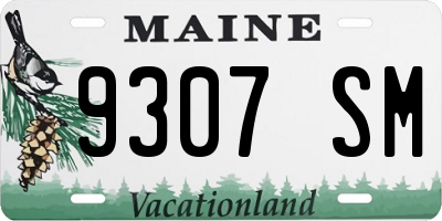 ME license plate 9307SM